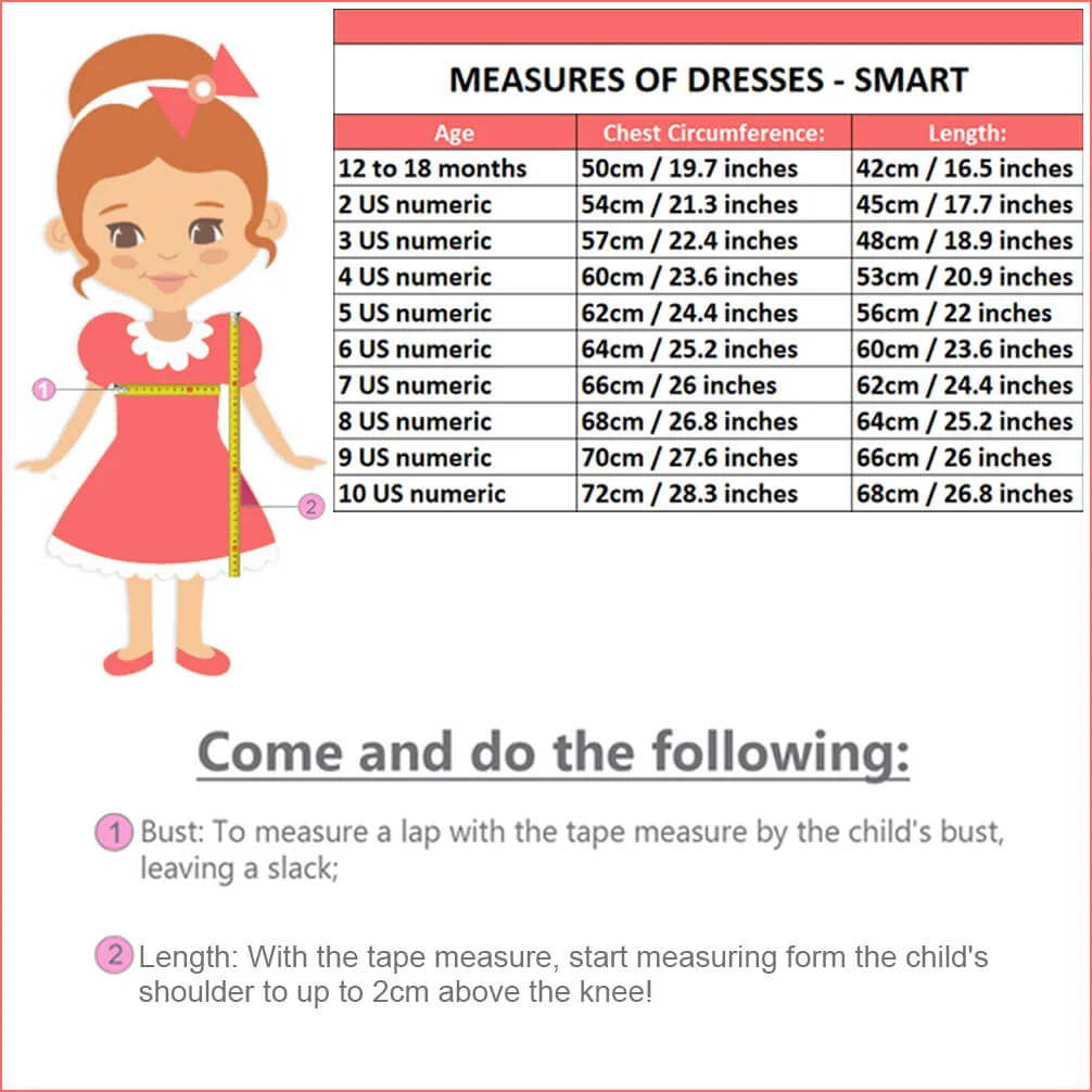 simple dresses for birthday Girl's dress princess Sofia the First, birthday party 2T US numeric