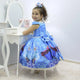 Girl's dress Frozen - Elsa and Anna with pearl embroidery, birthday party