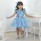 Girl's floral dress with blue tulle on the skirt, formal party