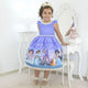 Girl's Jasmine princess Aladdin dress with pearl embroidery, birthday party