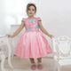 Girl's pink baby dress with french tulle with floral embroidery, formal party