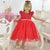 Many Colors Pageant Baby Girls Dress Bridesmaid Special Occasions Holidays - Handmade - Red / 6-12 months US numeric - Dress